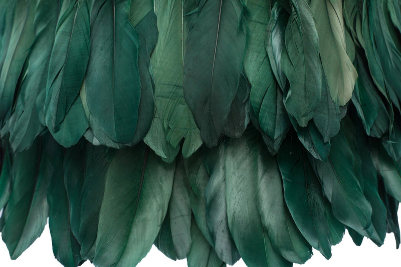 dark green feathers